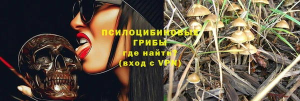 прущие крисы Зеленокумск