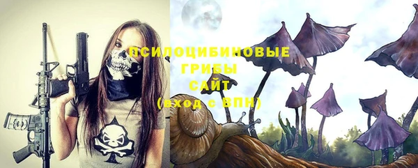 прущие крисы Зеленокумск